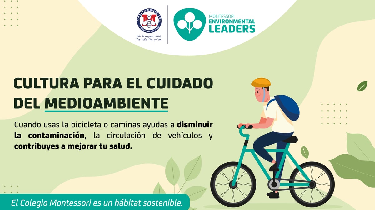 Descansadores de pantalla ambiental-03 (1)