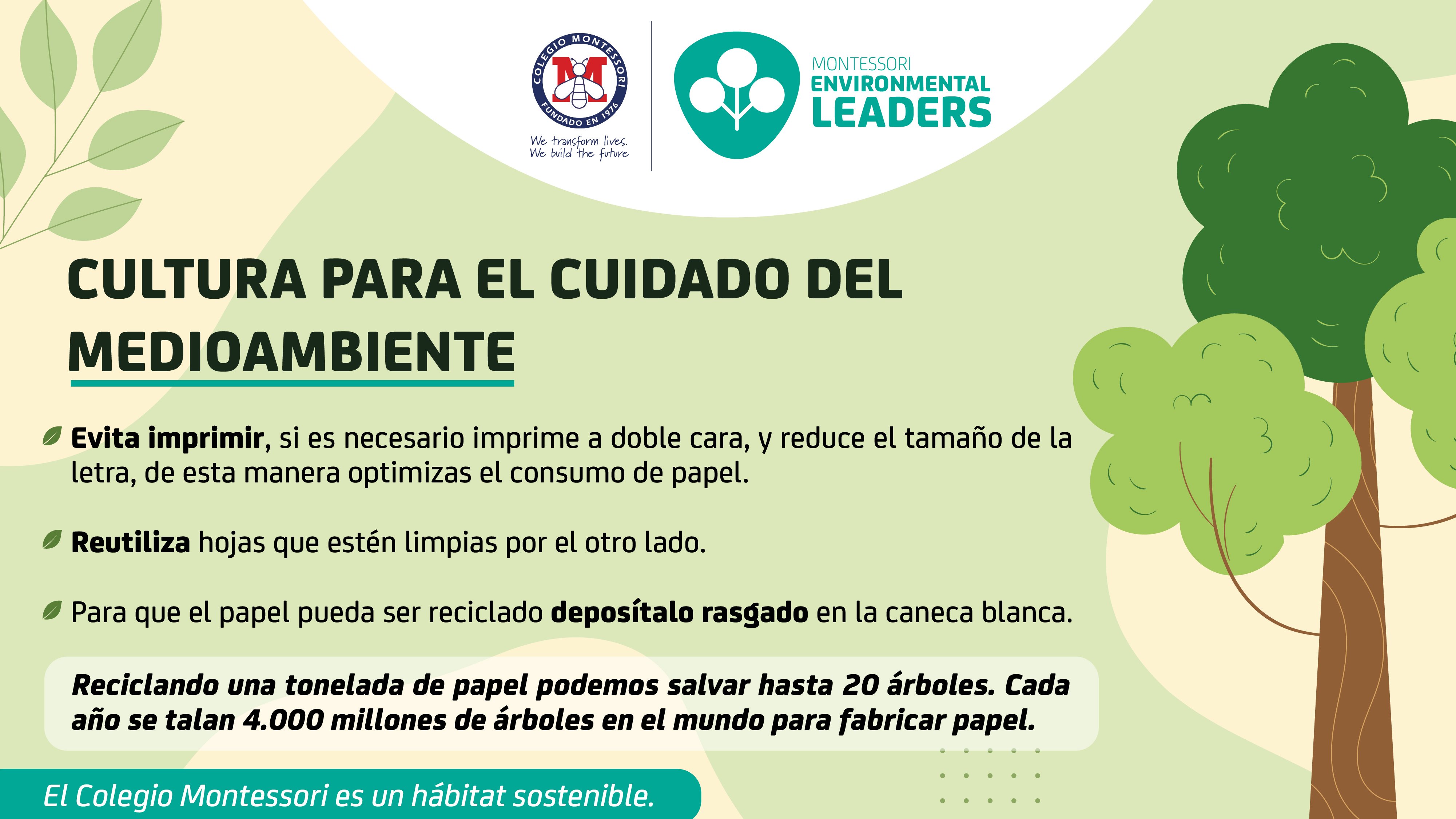 Descansadores de pantalla ambiental-05 (1)
